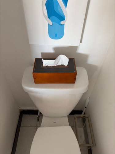 Customer photo review of HERMES PLEIADE TISSUE BOX