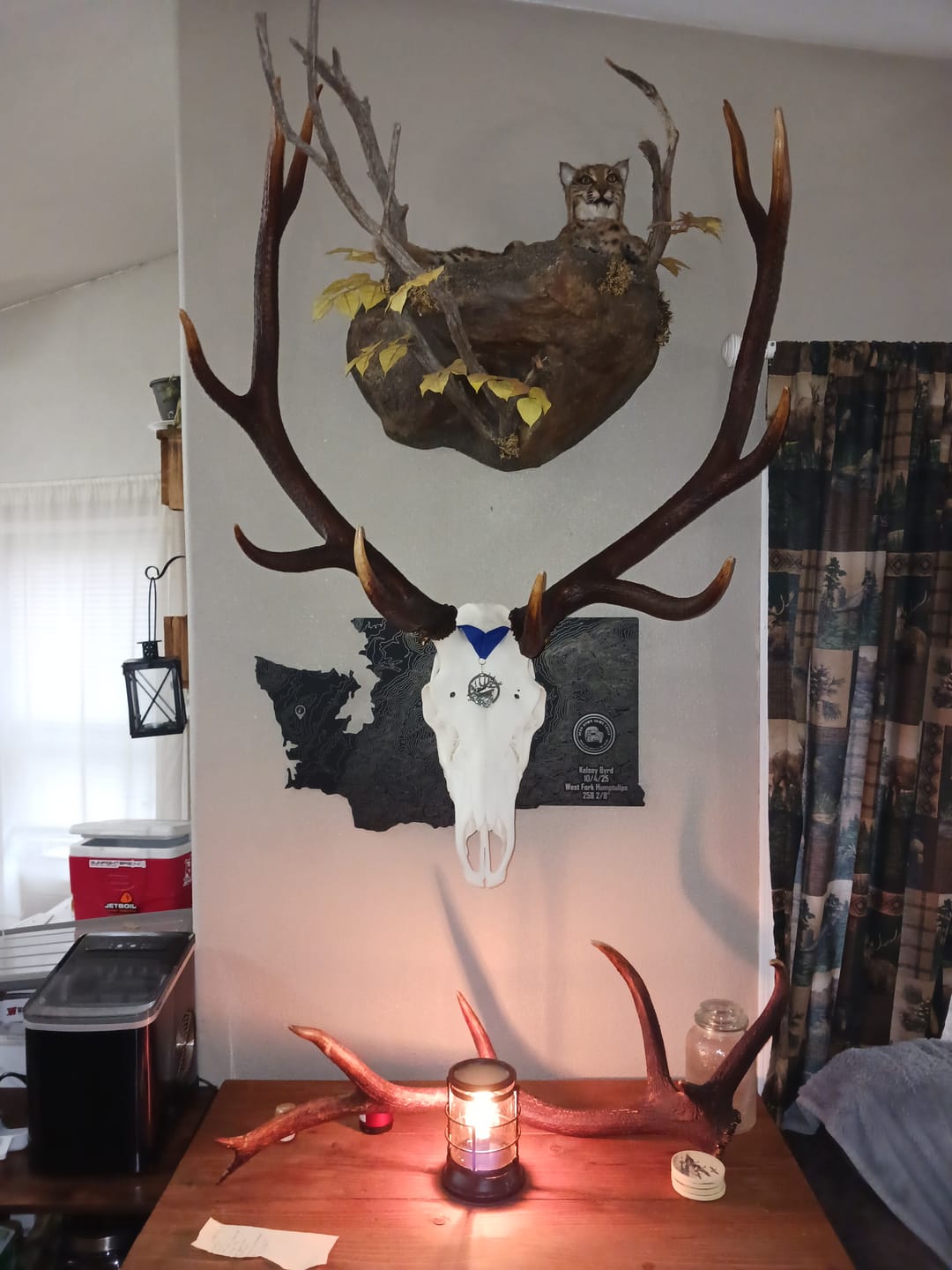 Customer photo review of Large Game Plaques