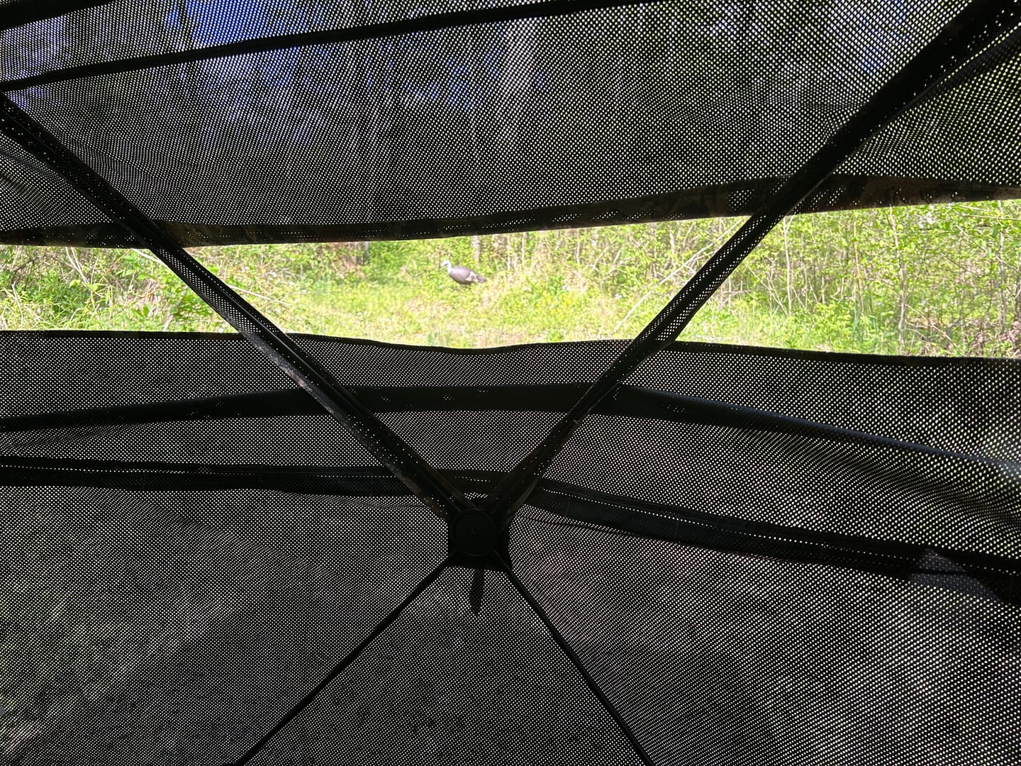 Customer photo review of Vis Series See Through Hunting Blind, Pop Up Ground Deer Blind