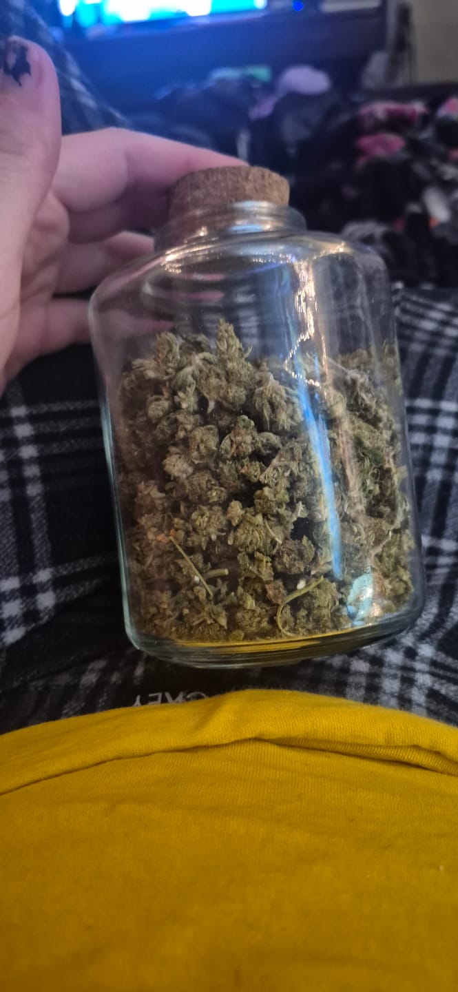 Customer photo review of THCa Greenhouse Smalls