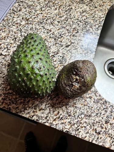 Customer photo review of Soursop
