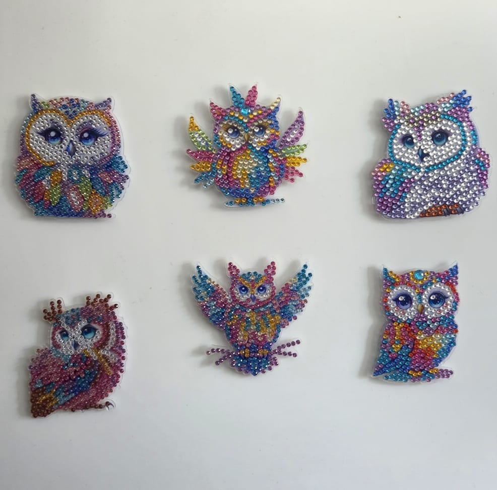 Customer photo review of Diamond Painting Magnete – Set mit 6 Eulen