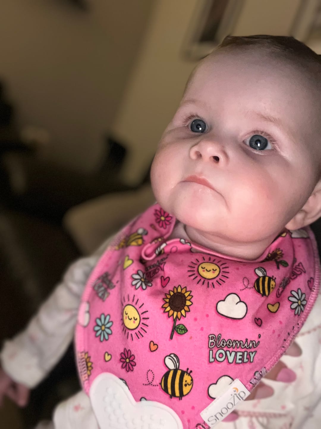 Customer photo review of Bloomin Lovely Teething Bib