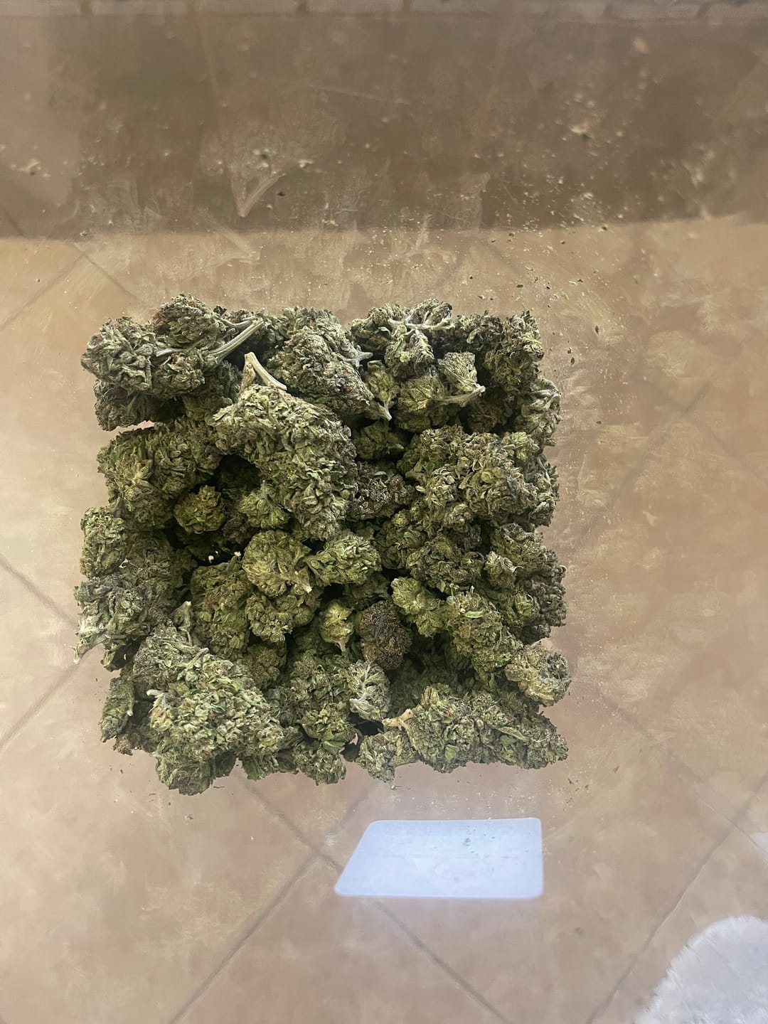 Customer photo review of Purple Octane - Bulk - Indica