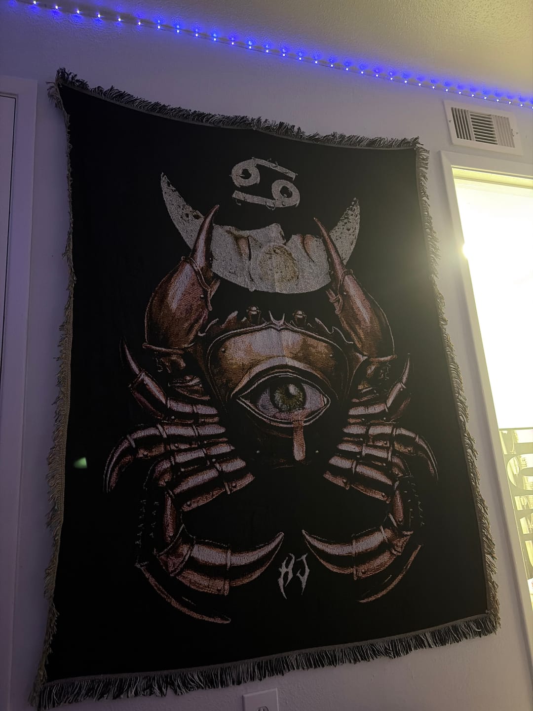 Customer photo review of ZODIAC TAPESTRY