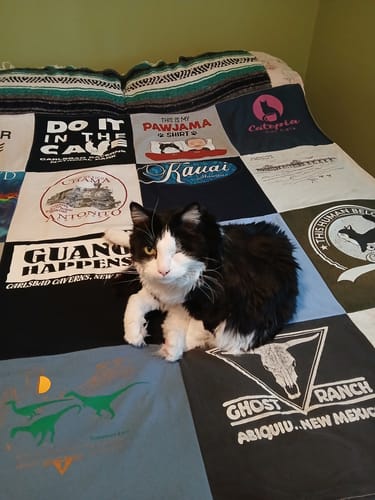A customer's cat resting on a memorial Project Repat T-Shirt Quilt made from various shirts.