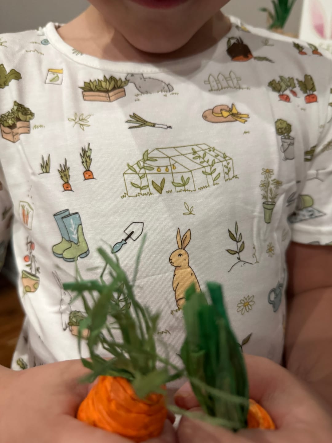 Customer photo review of Bunny Garden Bamboo Kids Pajama Short Set