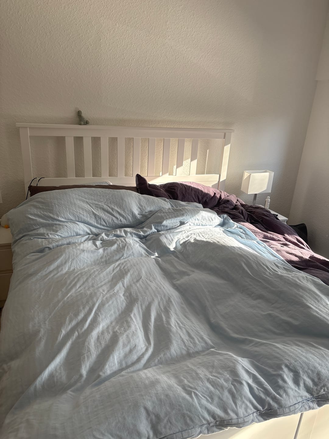 Customer photo review of Daunen Bettdecke mit Federn