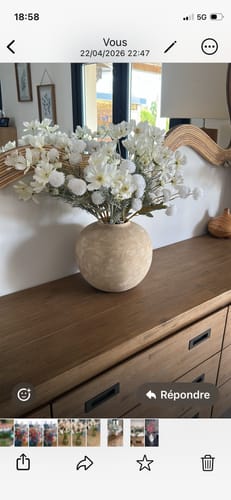 Customer photo review of Terra vase - Beige (PRÉCOMMANDE – EXPÉDIÉ LE 10/04)