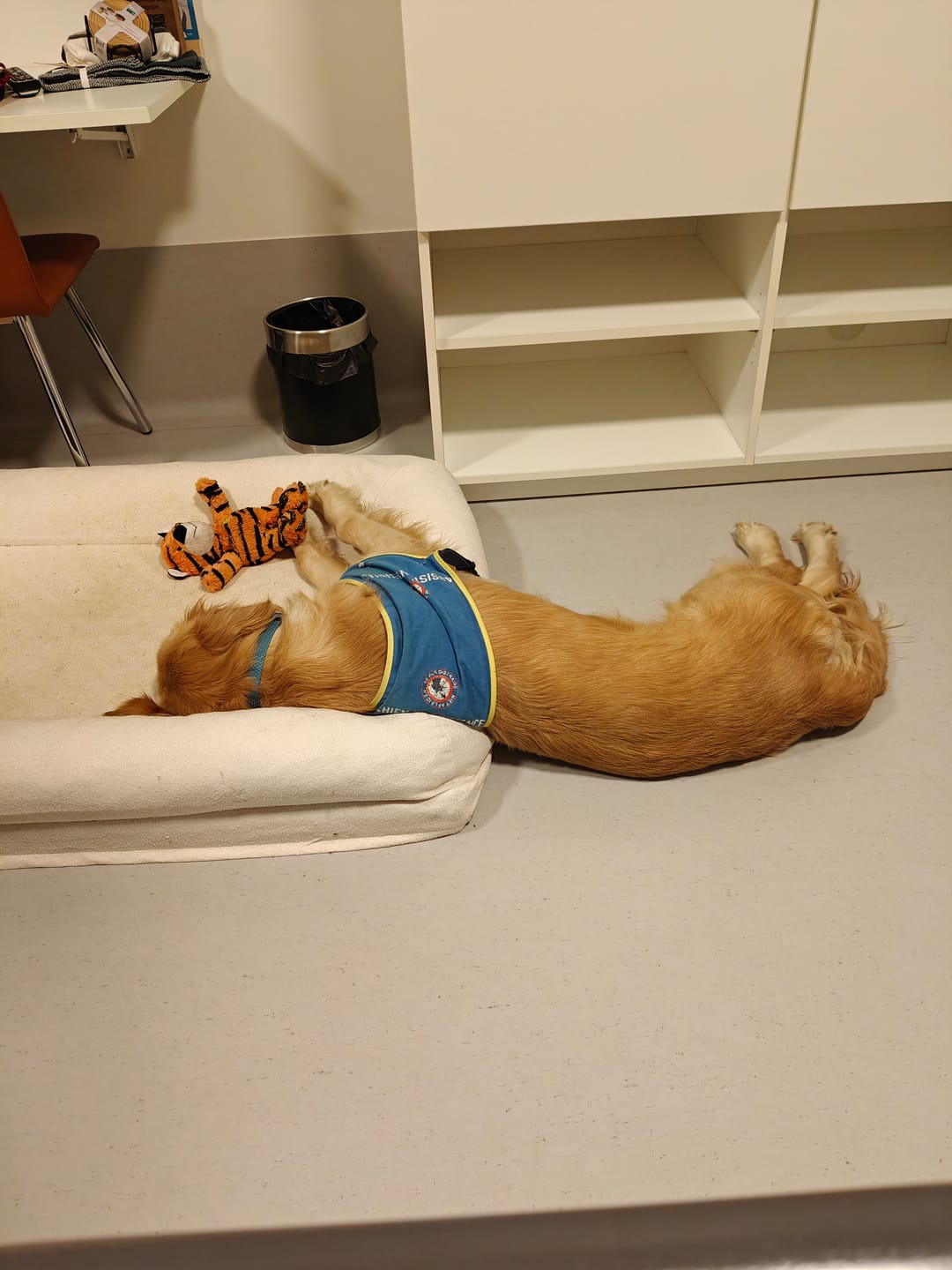 Customer photo review of Pet Perfect Orthopedische Hondenmand - Model 2