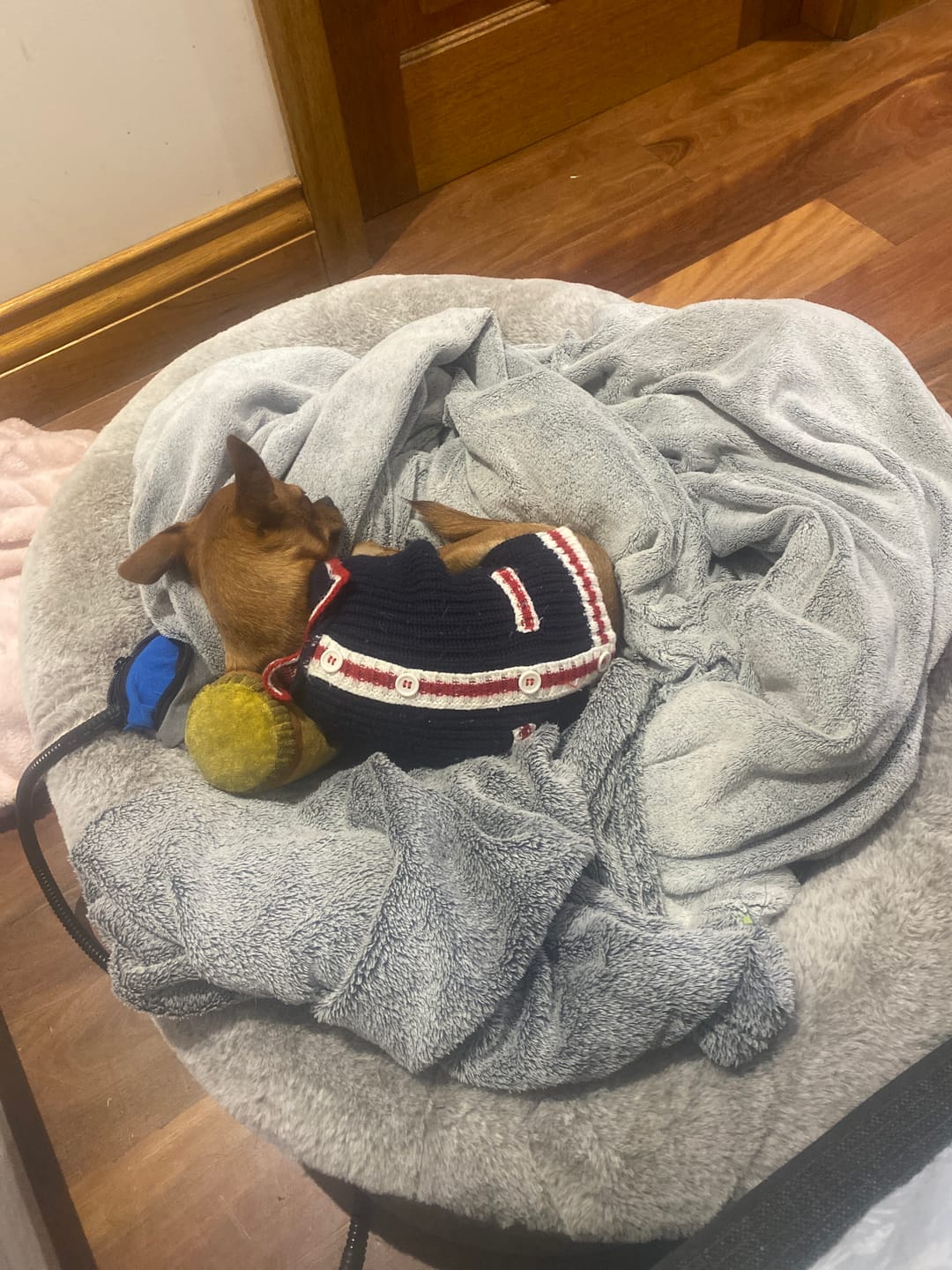 Customer photo review of Electric Heating Pet Bed Mat Heated Blanket Pad Timers Removable Cover