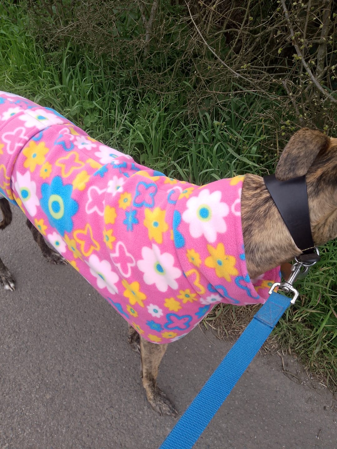Customer photo review of Pink Garden Anti Pill Polar Fleece Fabric