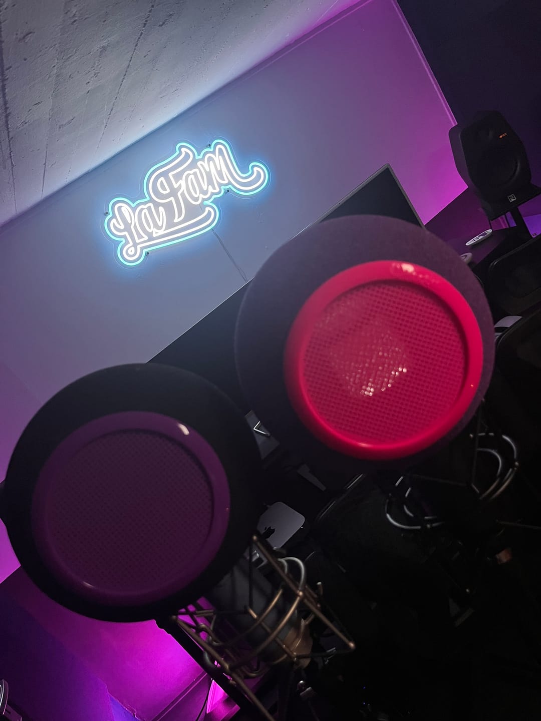 Customer photo review of Kaotica | Silicone Pop Filter