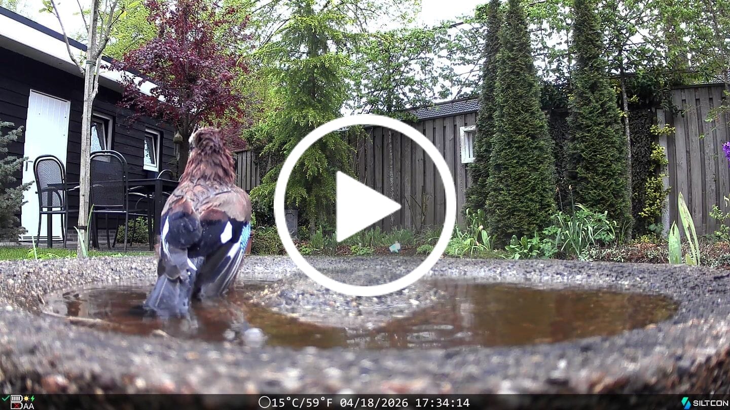 Customer video review of Siltcon® Wildcamera met Zonnepaneel 8K