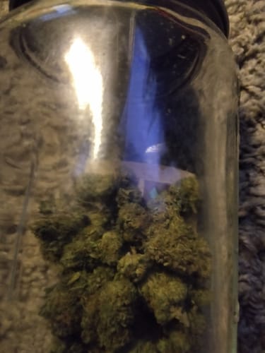 Customer photo review of Gorilla Glue Greenhouse THCA
