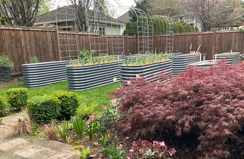 Customer's several 32" Tall Modular garden beds set up in a backyard with plants growing.