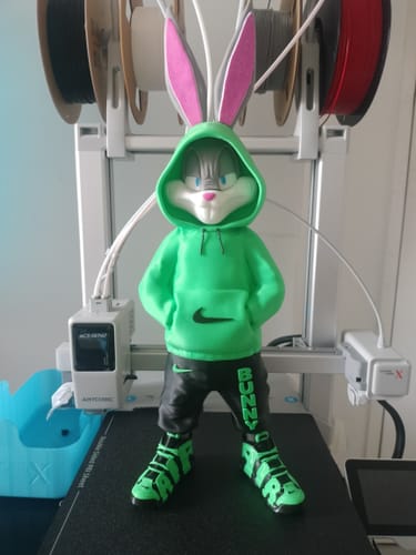 Customer photo review of Anycubic Kobra X