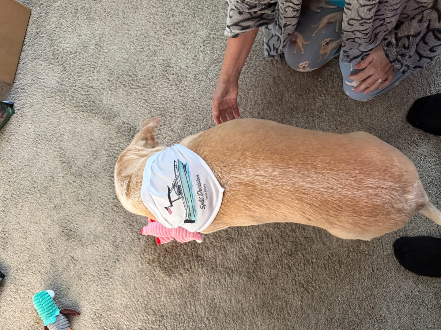 Customer photo review of Custom Pet Bandana