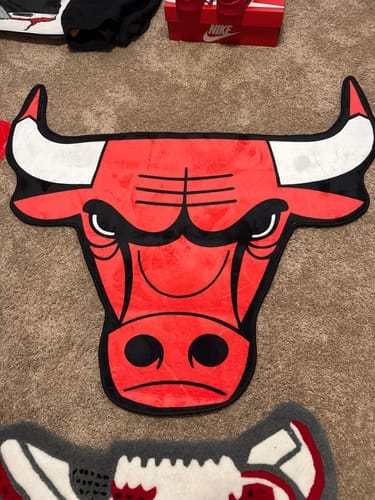 Customer photo review of Chicago Bulls™ Rug