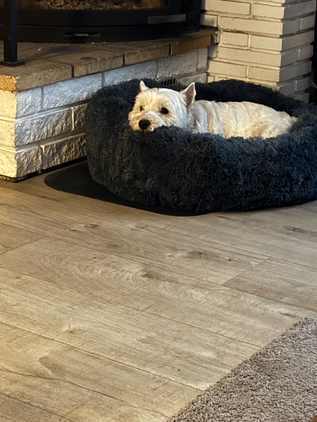 Customer photo review of CalmBed - Motvirker stress & hjelper mot angst