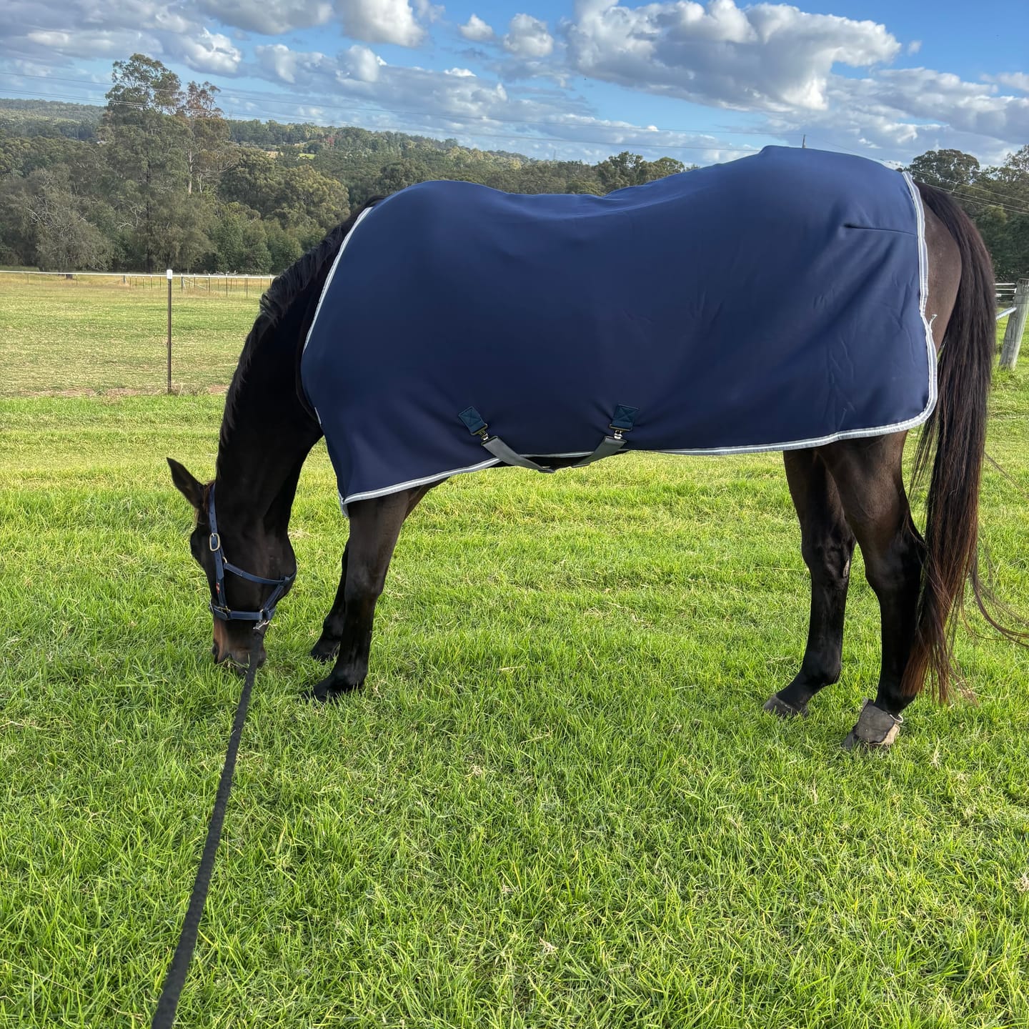 Customer photo review of Amigo Jersey Cooler