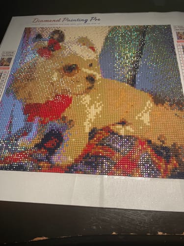 Customer photo by Cora S. of their finished diamond painting