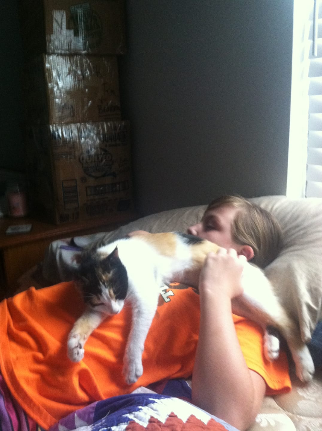 Customer photo review of Michu Mixed Tofu Cat Litter & Wonder Litter Bundle