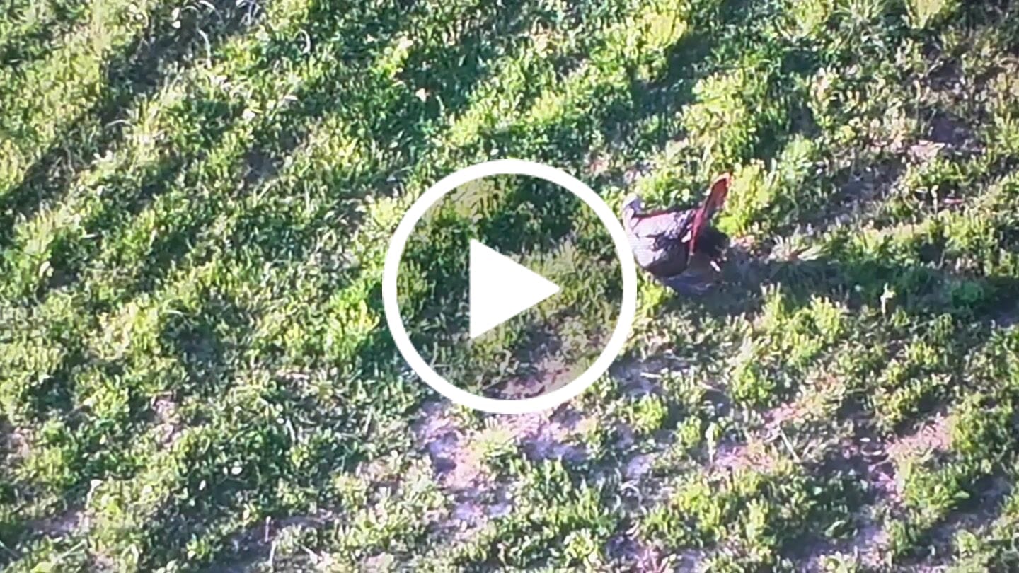 Customer video review of DJI Matrice 4T/4TD AL1 Spotlight