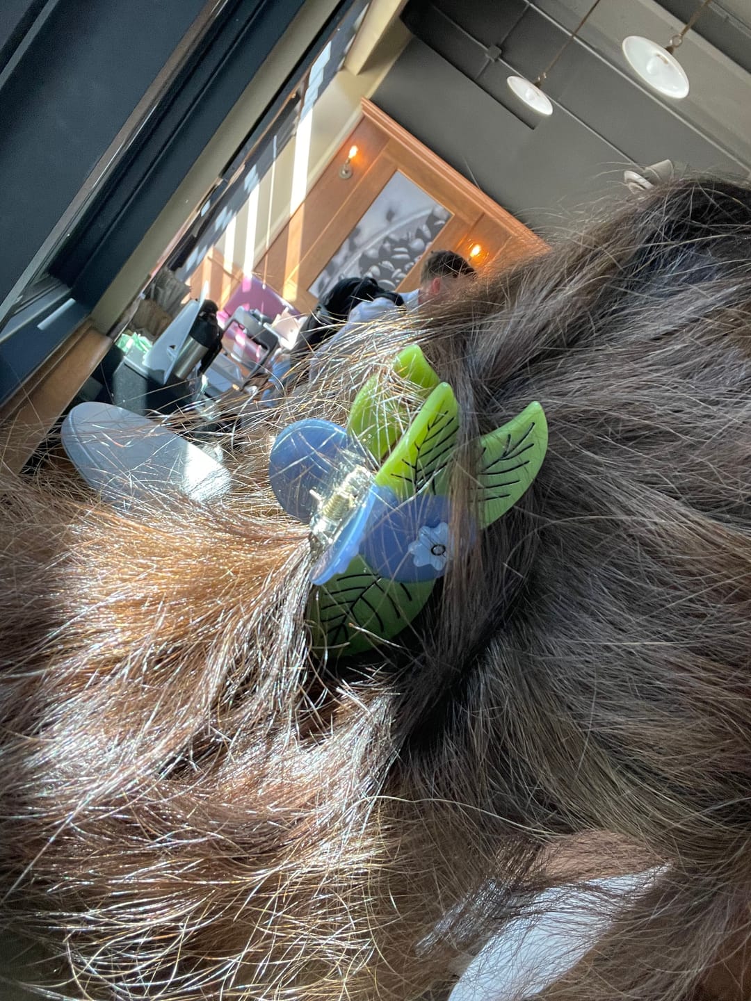 Customer photo review of Lobster Alligator Hair Clip Set