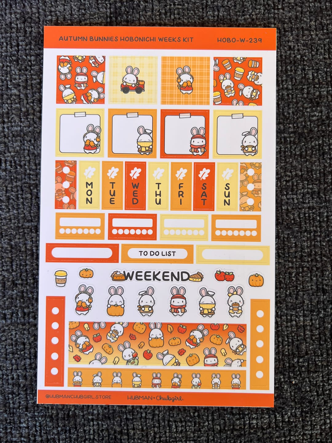 Customer photo review of Autumn Bunnies Theme Hobonichi Weeks Kit