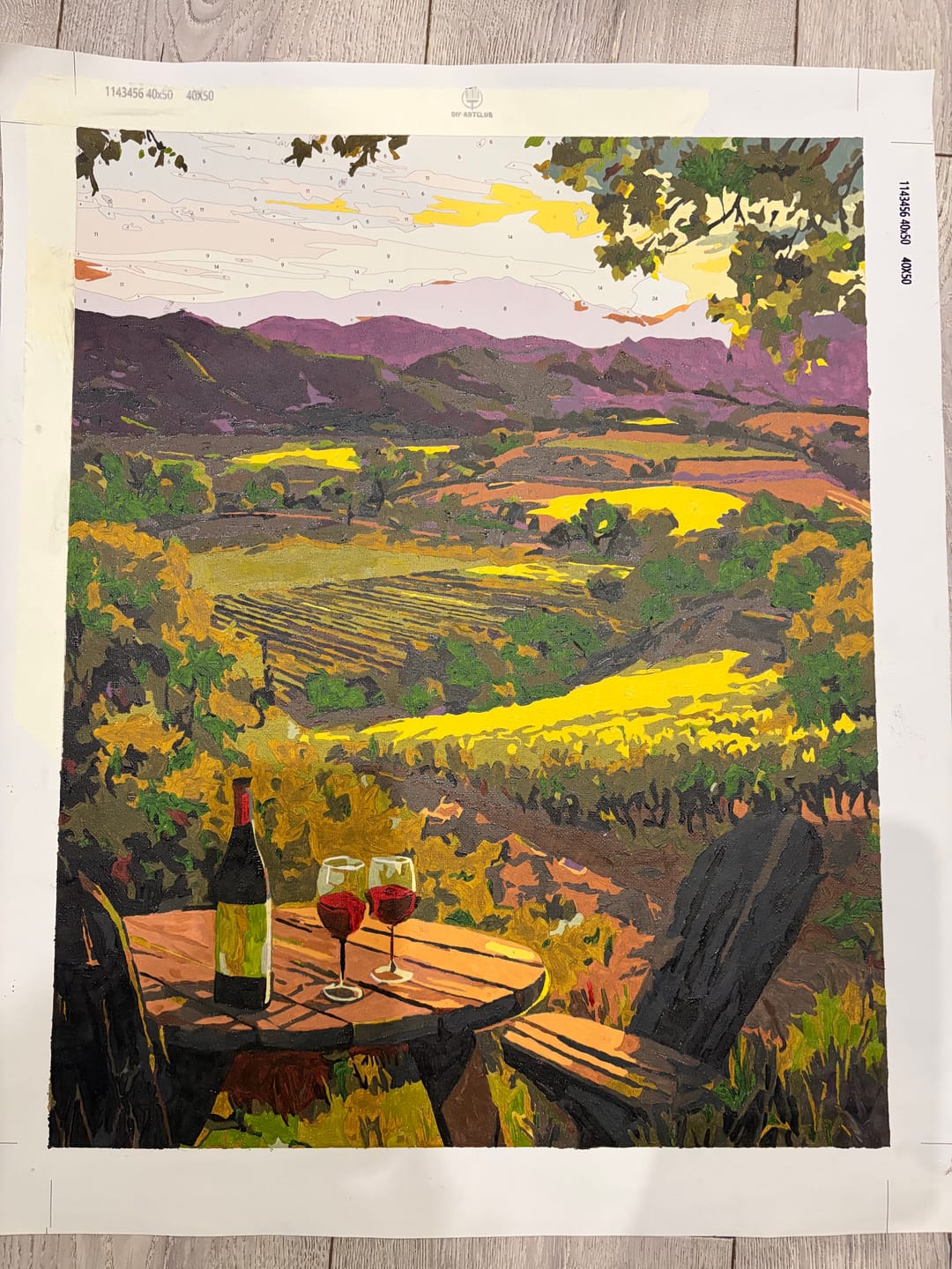 Customer photo review of Vineyards land | Paint by Number