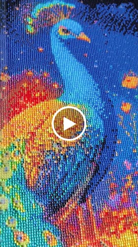 Customer video review of 5D Diamond Painting – Pfau im Blumenfeld