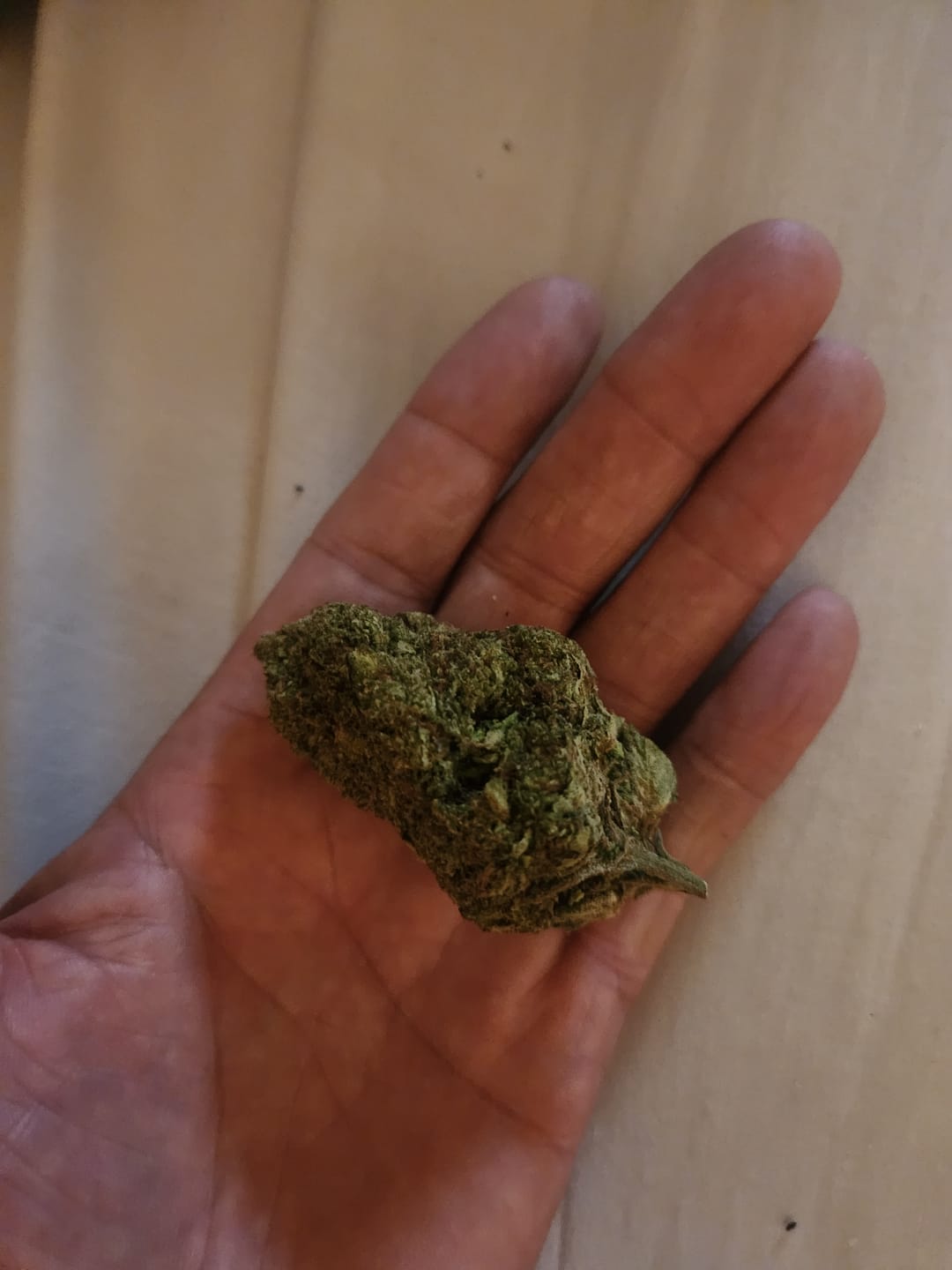 Customer photo review of Oakland Runtz - Bulk - Hybrid