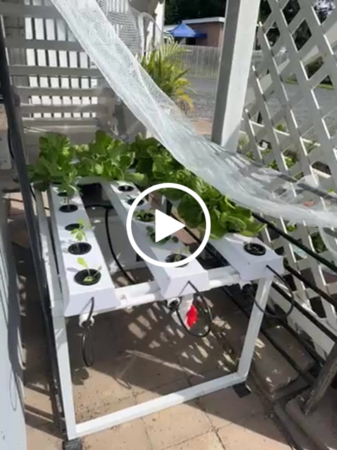 Customer video review of The Small Salad Table