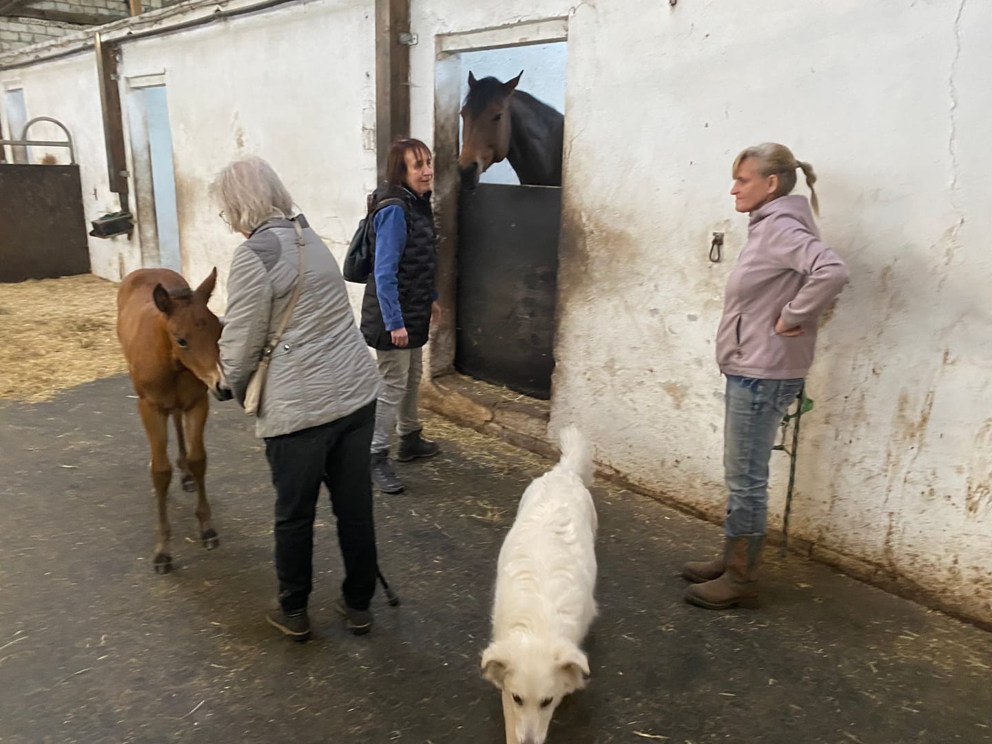 Customer photo review of Meine Tasse - Personalisierte farbige Tasse mit edler Gravur