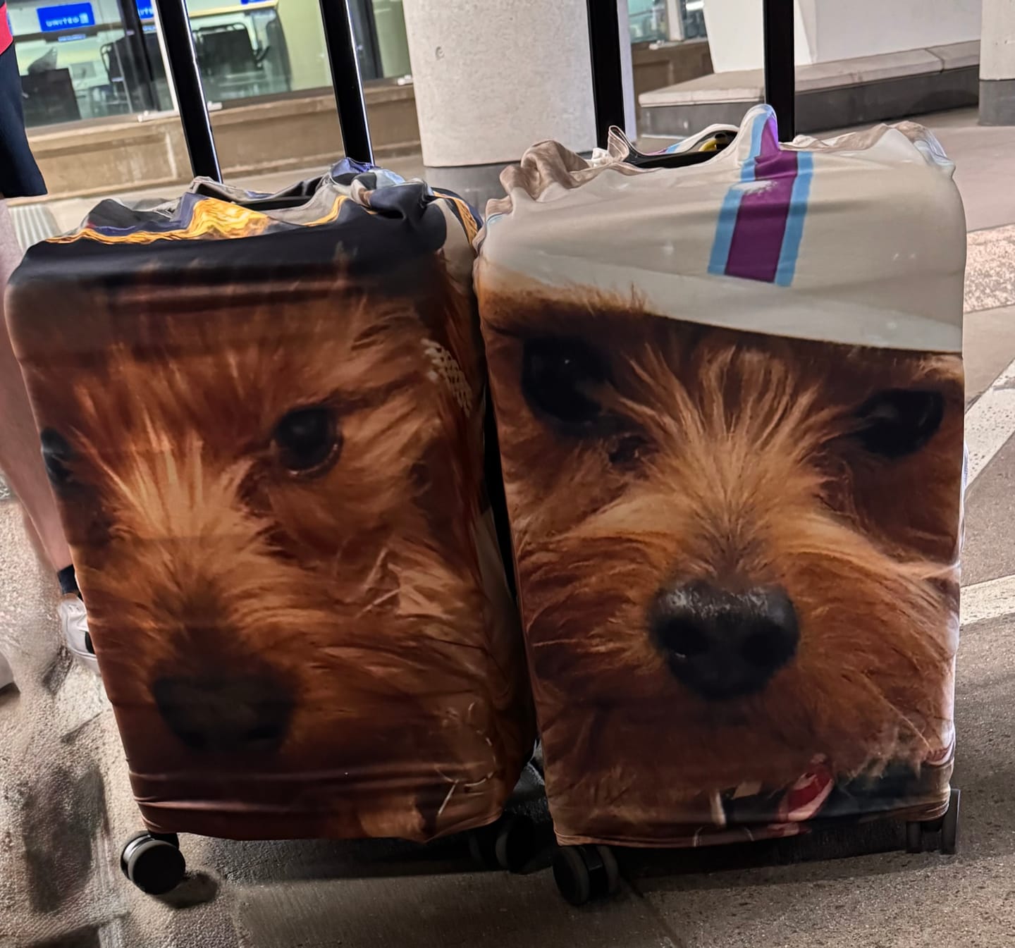 Customer photo review of Summer Sale- Custom Personalized Funny Photo Luggage Cover Suitcase Cover