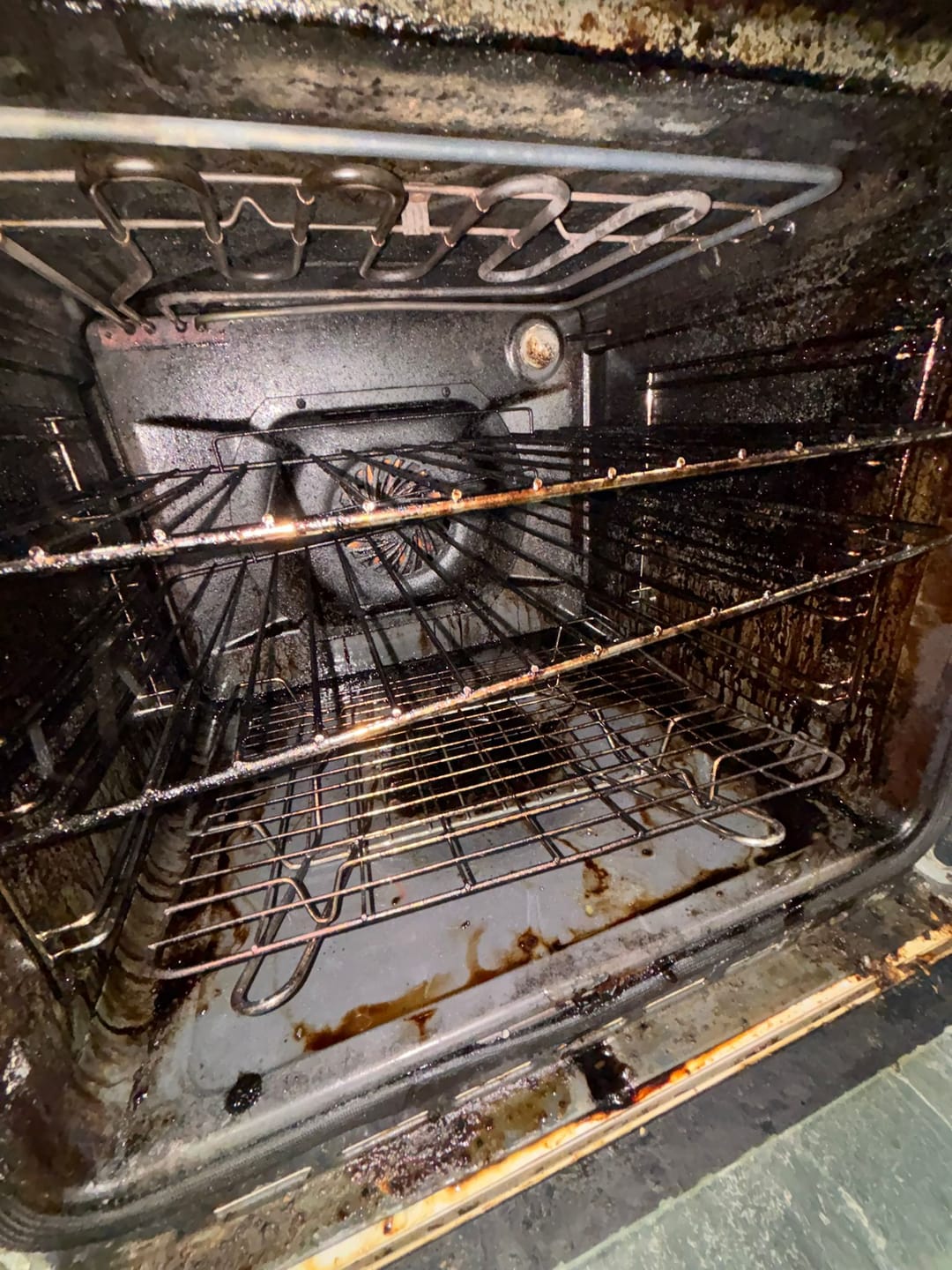 Customer photo review of Clean Ya Oven