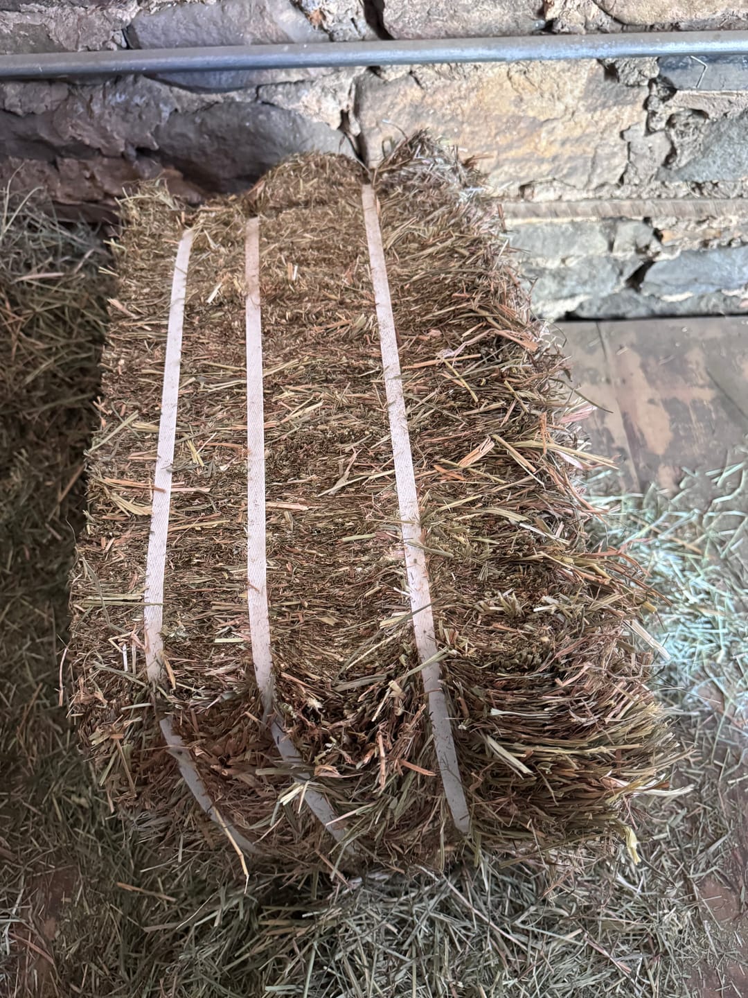 Customer photo review of Timothy Orchard Grass Hay (Click here for Qty Discount) Grass Hay (Buy More - Save More)(Includes delivery too!)