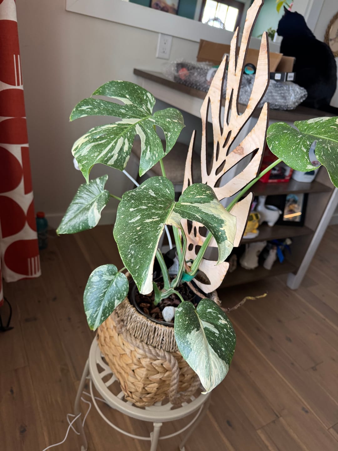 Customer photo review of BARE™ Monstrella™ - Customizable Monstera shaped wooden plant support