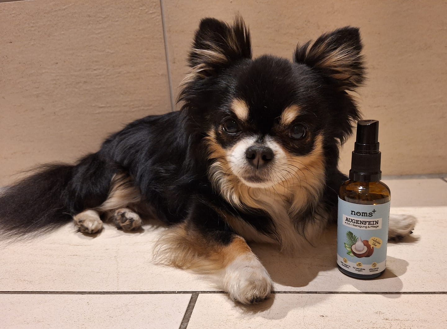 Customer photo review of 2-in-1 Augenfein Reinigung & Pflege für Hunde & Katzen mit kolloidalem Silber