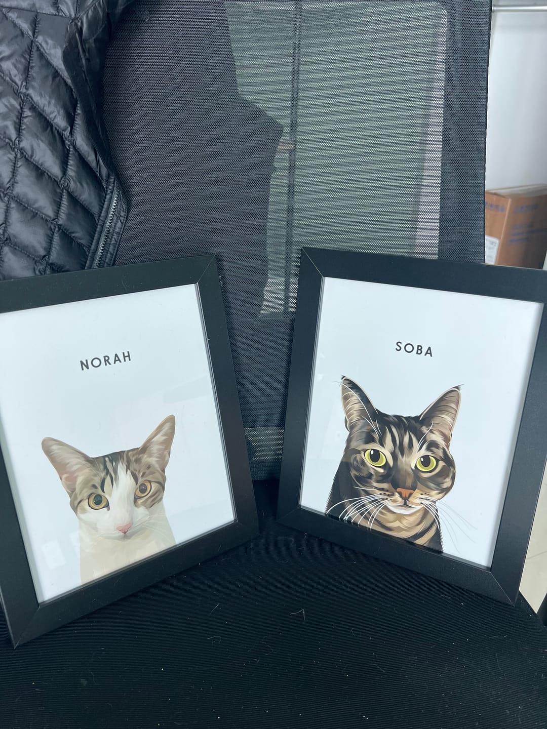 Customer photo review of Custom One Pet Portrait