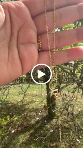 Customer video review of Arabic Letter Necklace - Choose your Letter