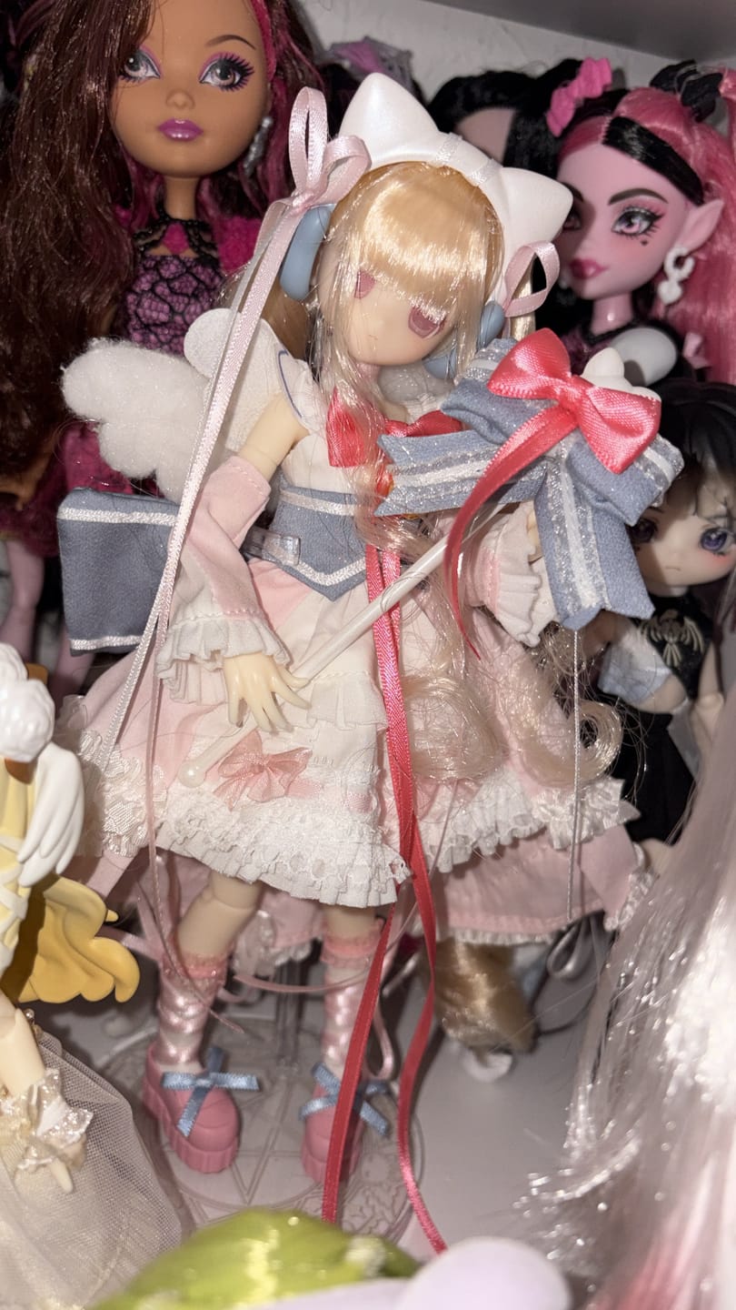 Customer photo review of Transform Electrical Street Series 1/6 Action Figure BJD Blind Box
