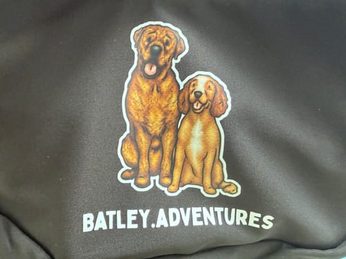 Customer photo review of Upgrades