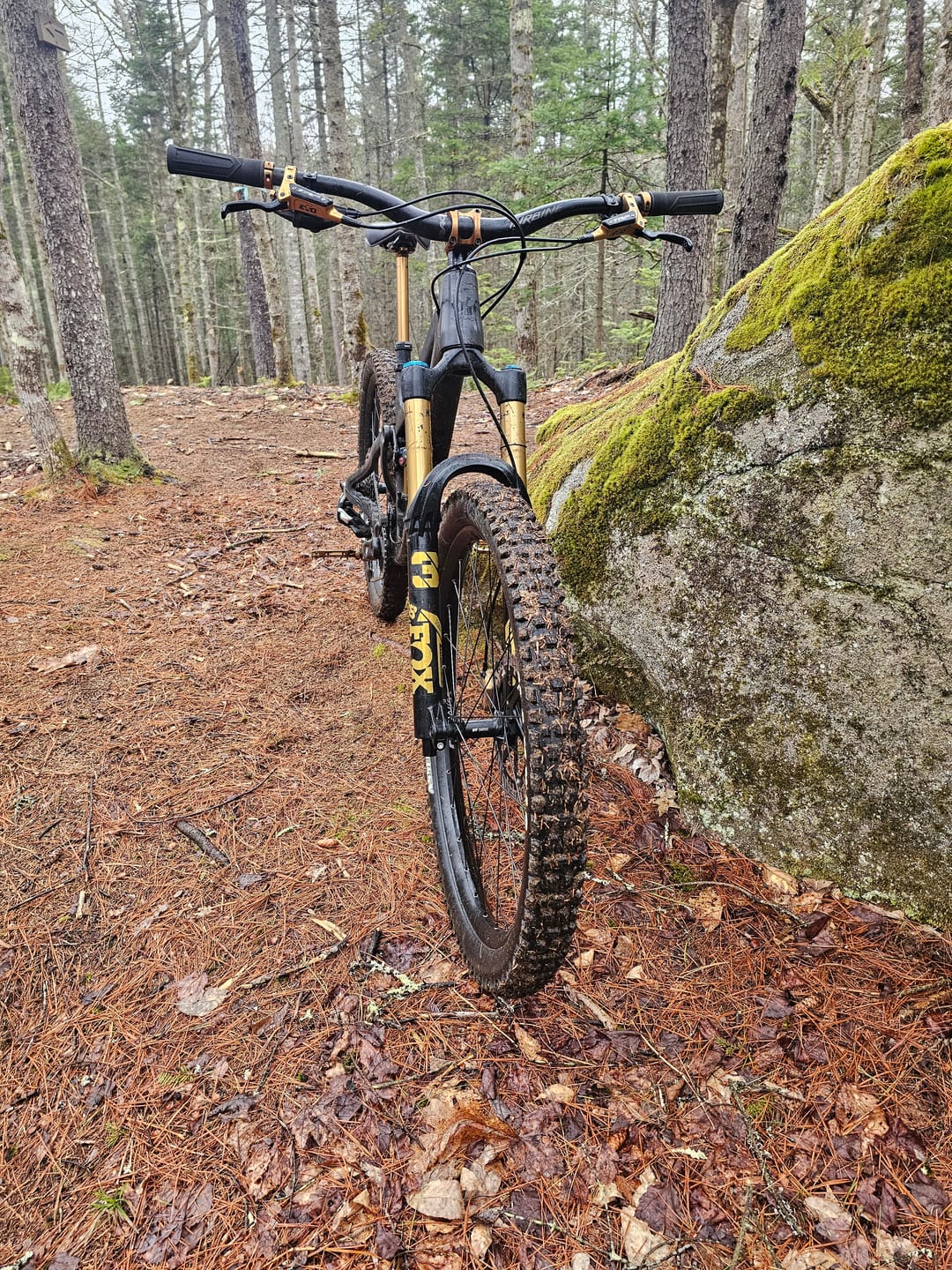 Customer photo review of Metallic Fox 38 Factory Fork Decal