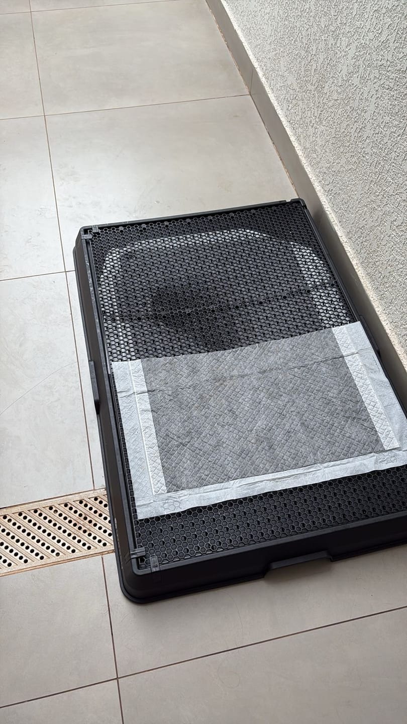 Customer photo review of Weasy Cão | Banheiro inteligente para cachorro