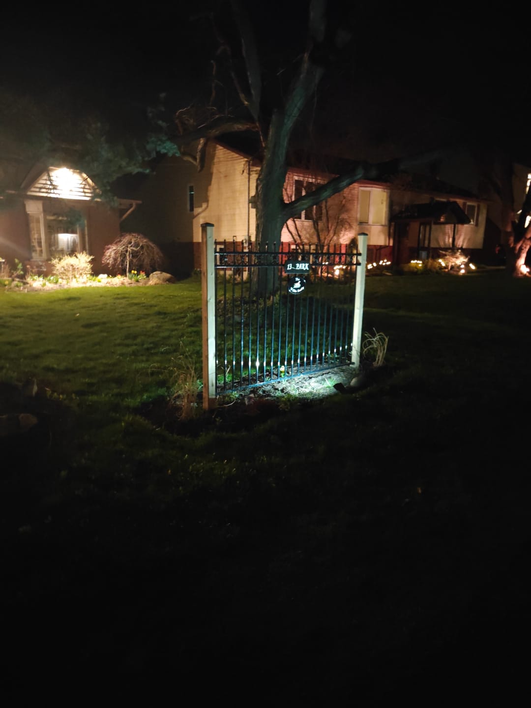 Customer photo review of BigM 20 LED Cool White Wireless Solar Spotlights for Landscape Gardens