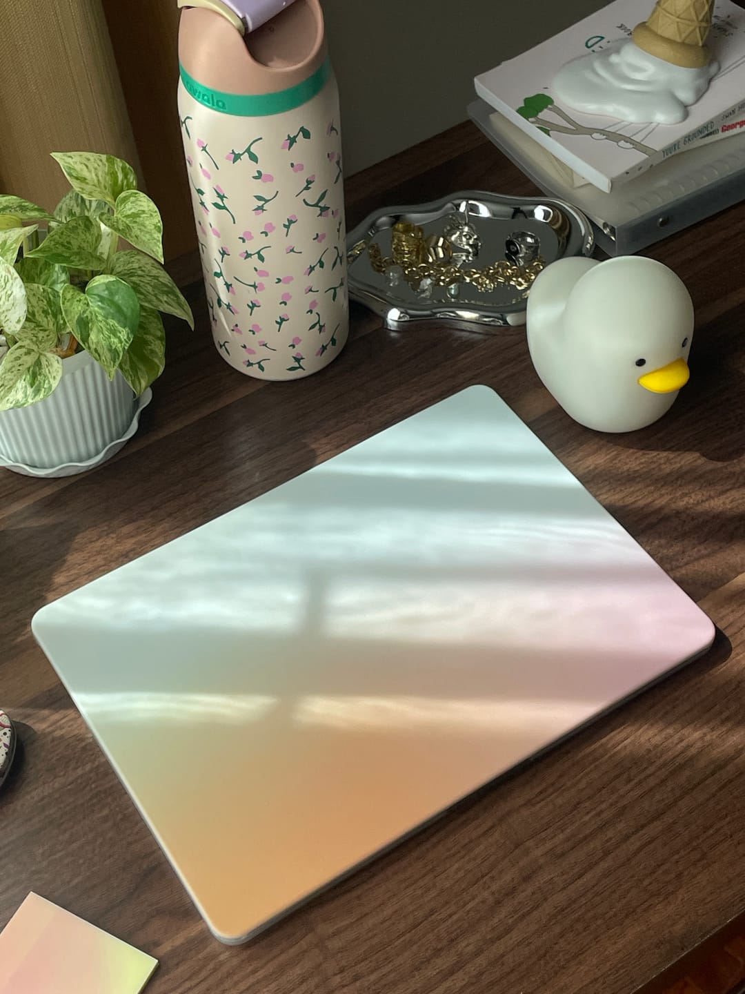 Customer photo review of Sunrise Gradient Dried Flowers Premium Protective Case for Macbook Air & Pro 13/14/15//16 inch