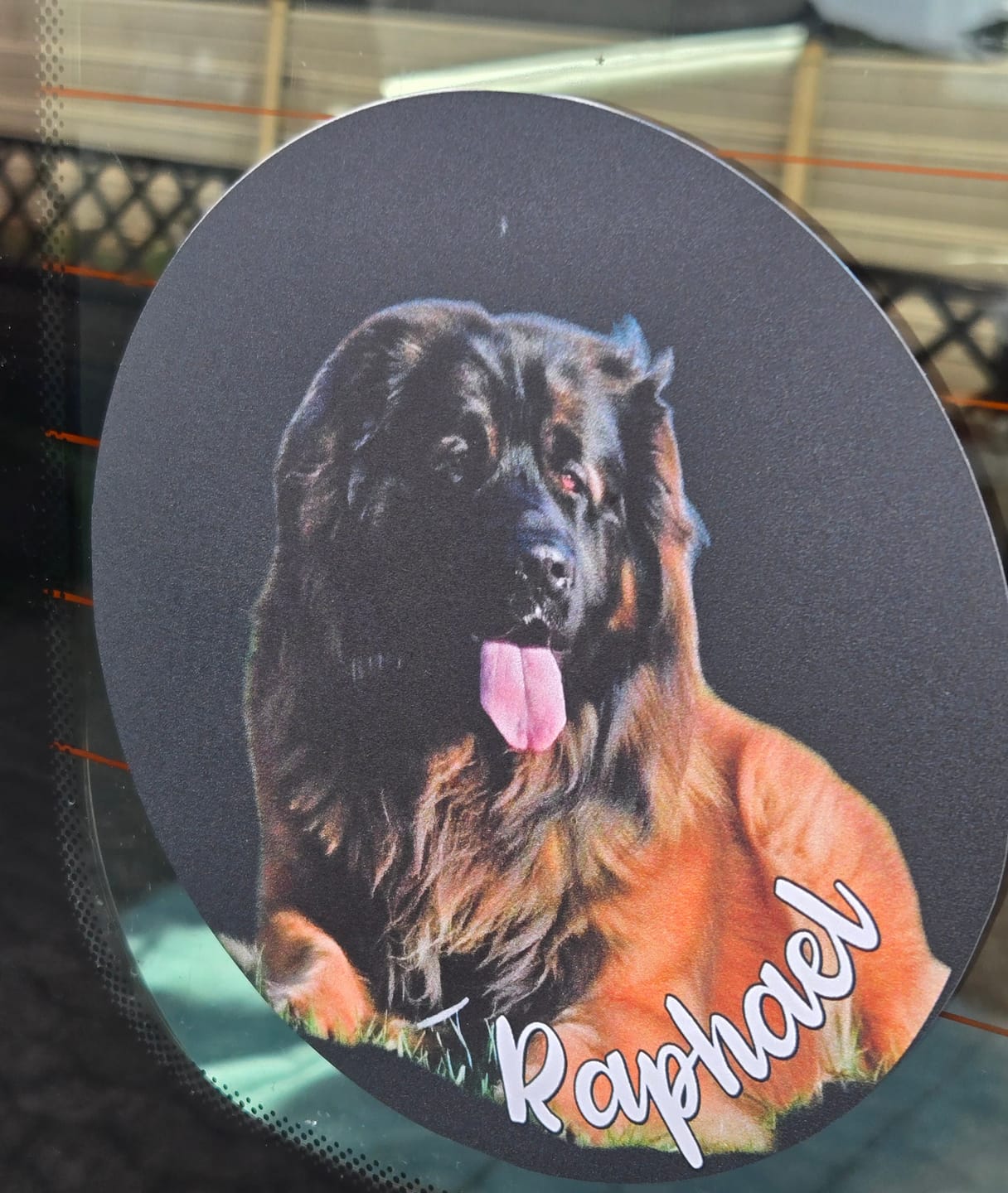 Customer photo review of Personalisierter Autoaufkleber - Dein Foto