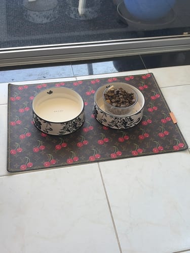 Customer photo review of GUCCI DOG BOWL